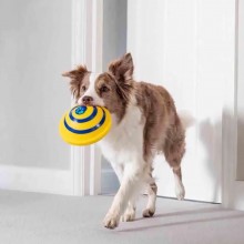 Игрушка для домашних собак диск с пищащим звуком Woof Glider (AL-222) Игрушка для домашних собак диск с пищащим звуком Woof Glider (AL-222)